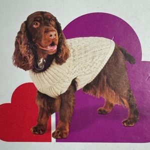 NWT Boots & Barkley Dog Knit Sweater - XL